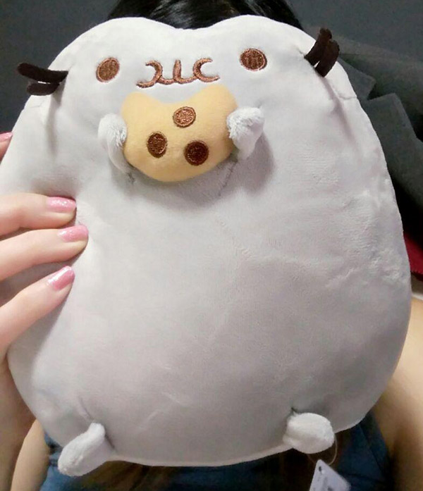 If you turn the phone upside down, it looks like Pusheen’s diet is working.