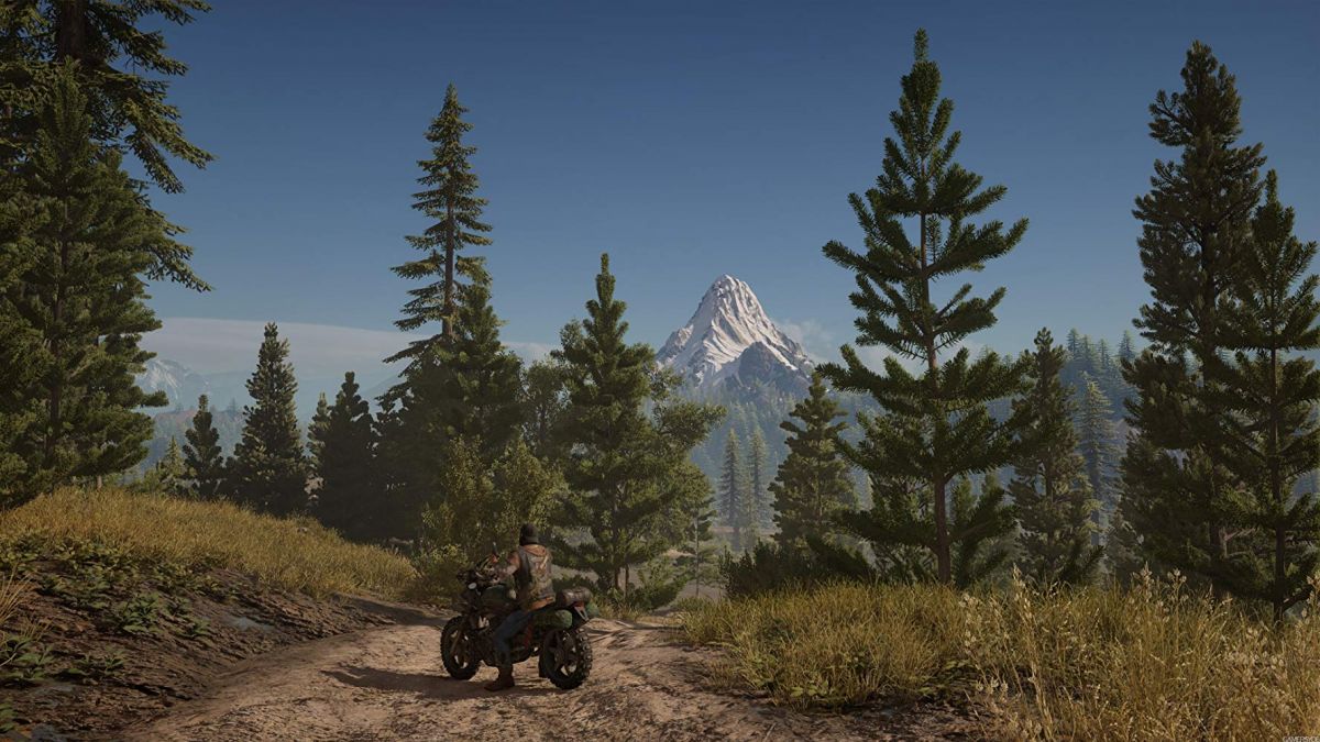 Days Gone's Newest Trailer Shows Off Its Hostile World And Sets Up Its  Odyssey Across The Wilderness