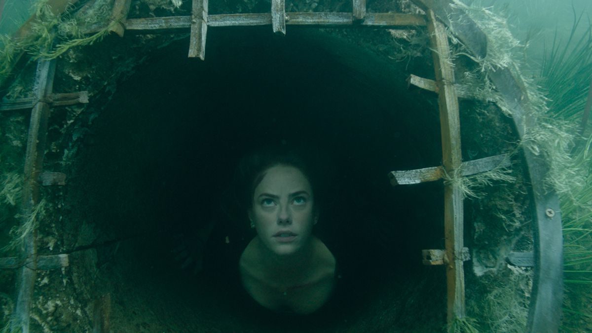 crawl-movie-review-3