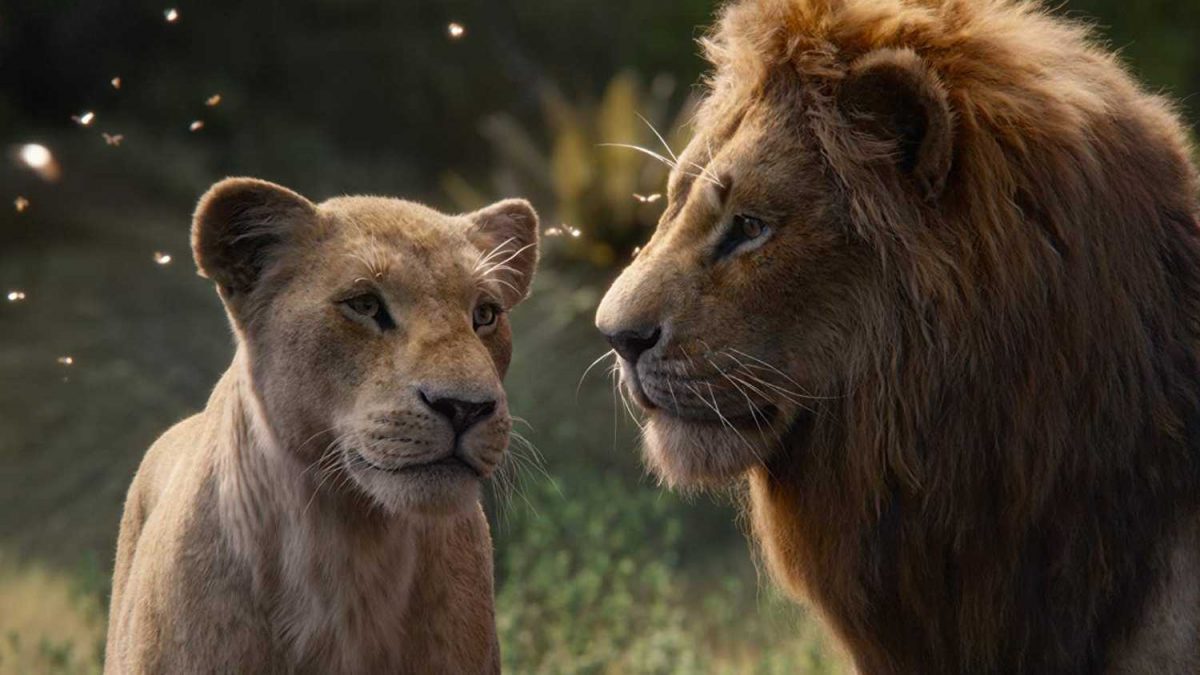 Disneys The Lion King 2 Sets Moonlights Barry Jenkins As Director And Will Focus On Mufasas 8467