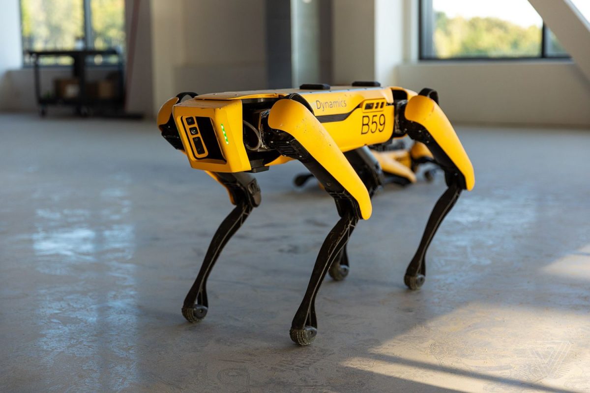 top race robot dog