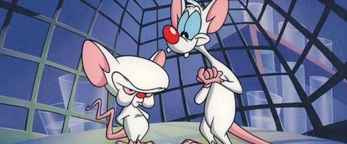 Pinky and The Brain - About the Show