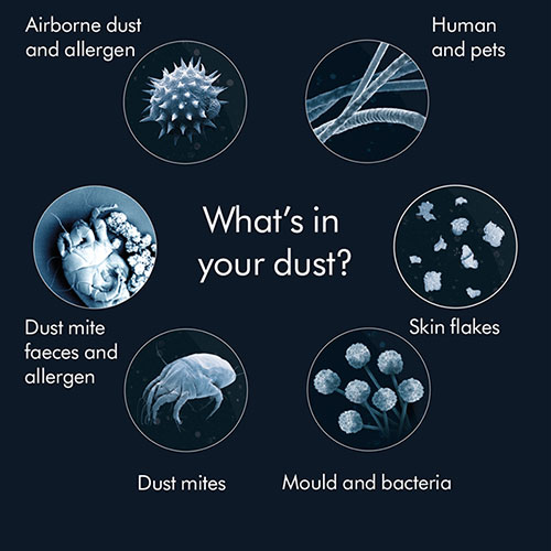 dyson dust study 2022 what is in your dust