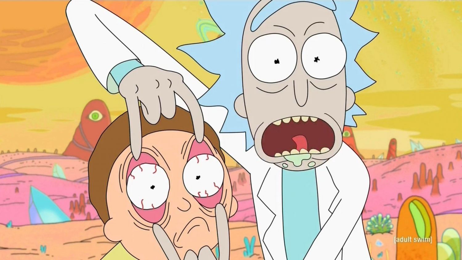 Rick and Morty revealed as the same person in shocking anime short  TV   Radio  Showbiz  TV  Expresscouk