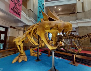 Catch The Pokémon Fossil Museum Virtual Tour Without Visiting Japan