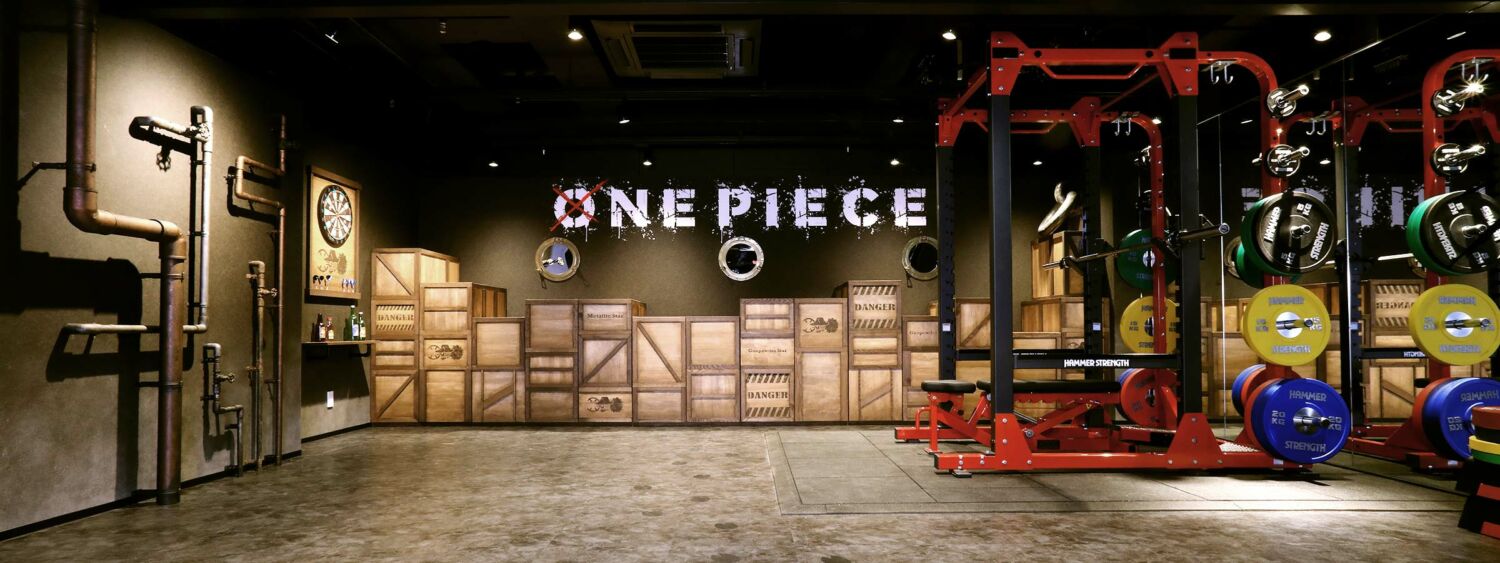 One Piece Gym (3)