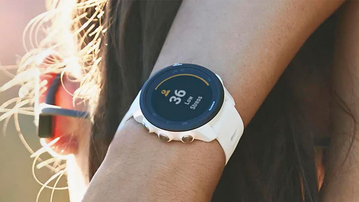 Garmin Forerunner 245 Health and Fitness Tracker Smartwatch
