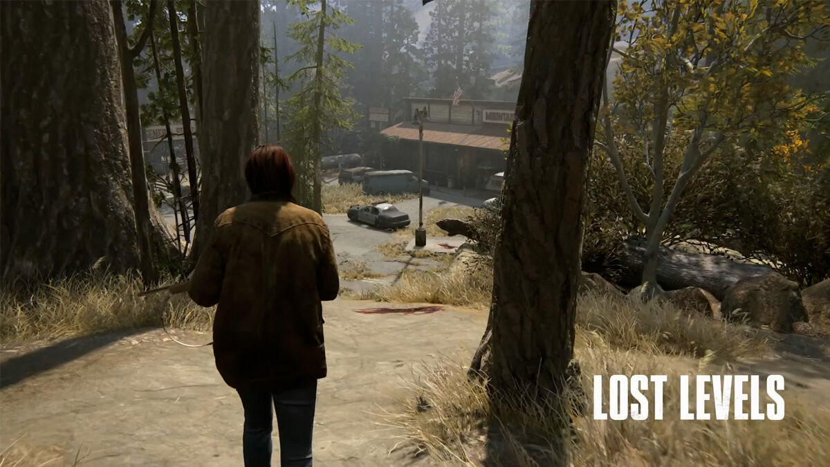 The Last Of Us 2: Remastered Lost Level Boar Hunt