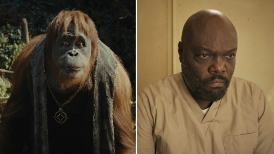 Who’s Who In ‘Kingdom of the Planet of the Apes’: The New Primates ...