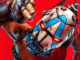 borderlands 4