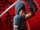 assassins creed shadows