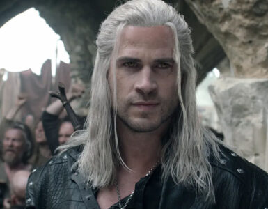 the witcher