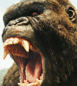 monarch legacy of monsters