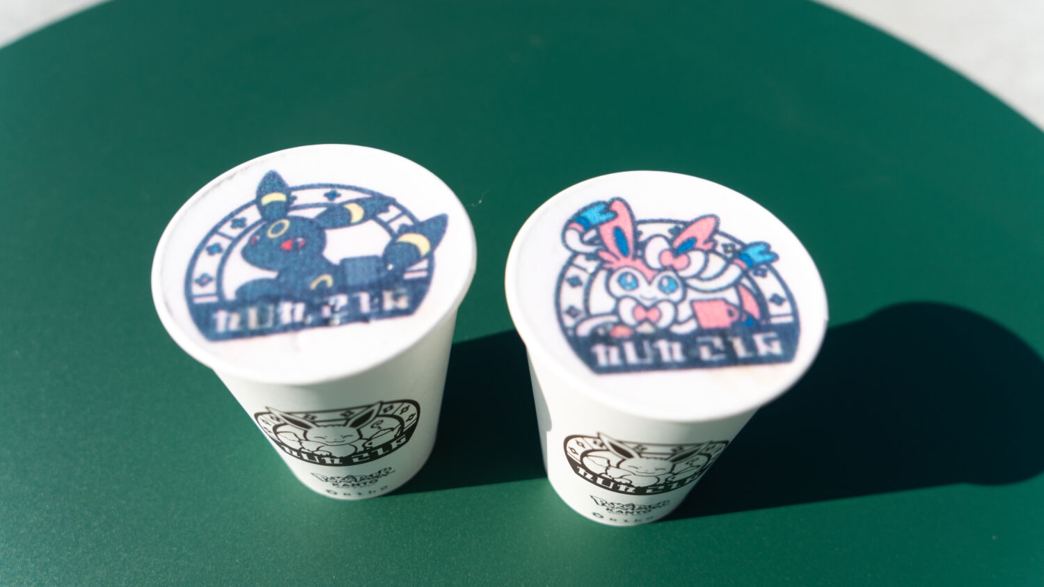 PokéPark Kanto (22)