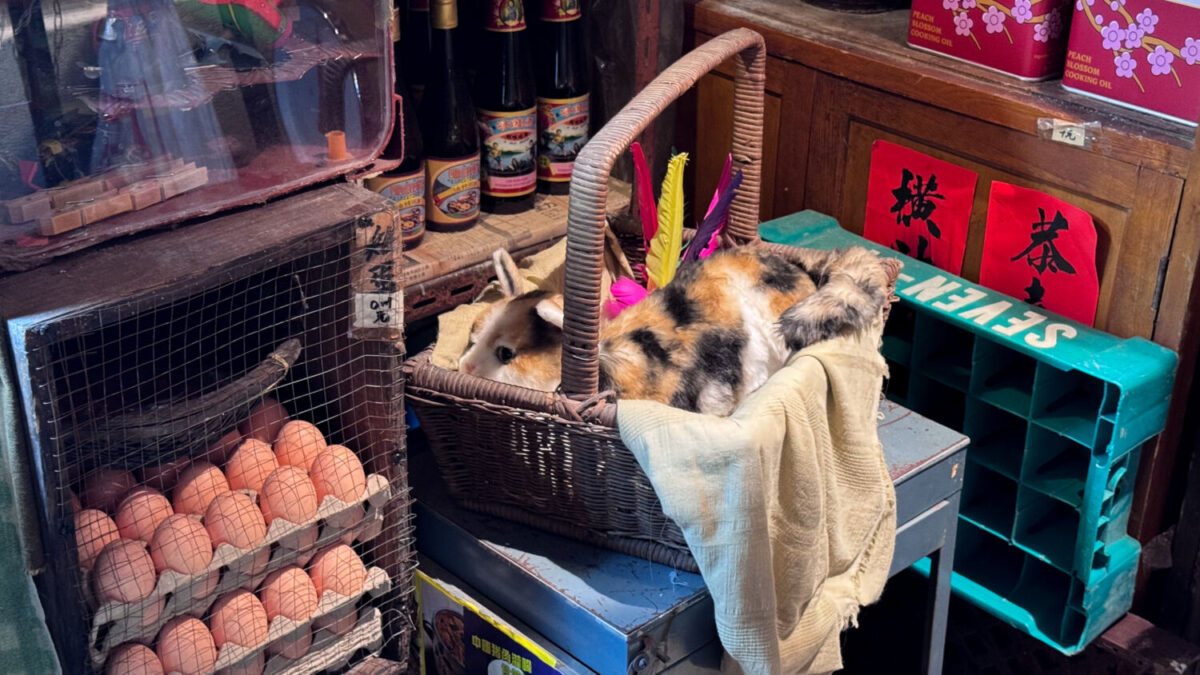 Kowloon Walled City