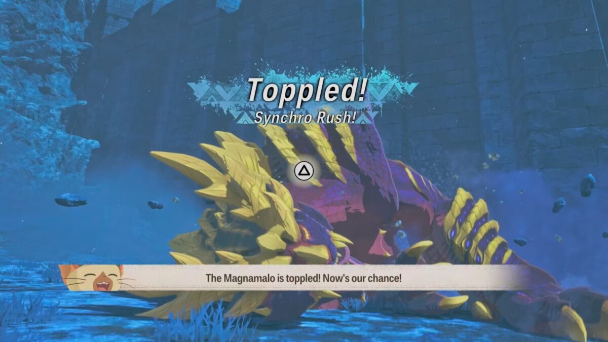 Monster Hunter Stories 3: Twisted Reflection Interview *(3)