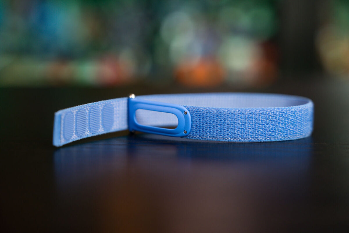 Google Fitbit Air
