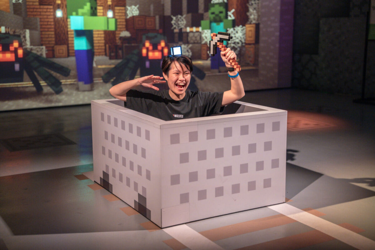 Minecraft Experience: Villager Rescue Singapore (2)