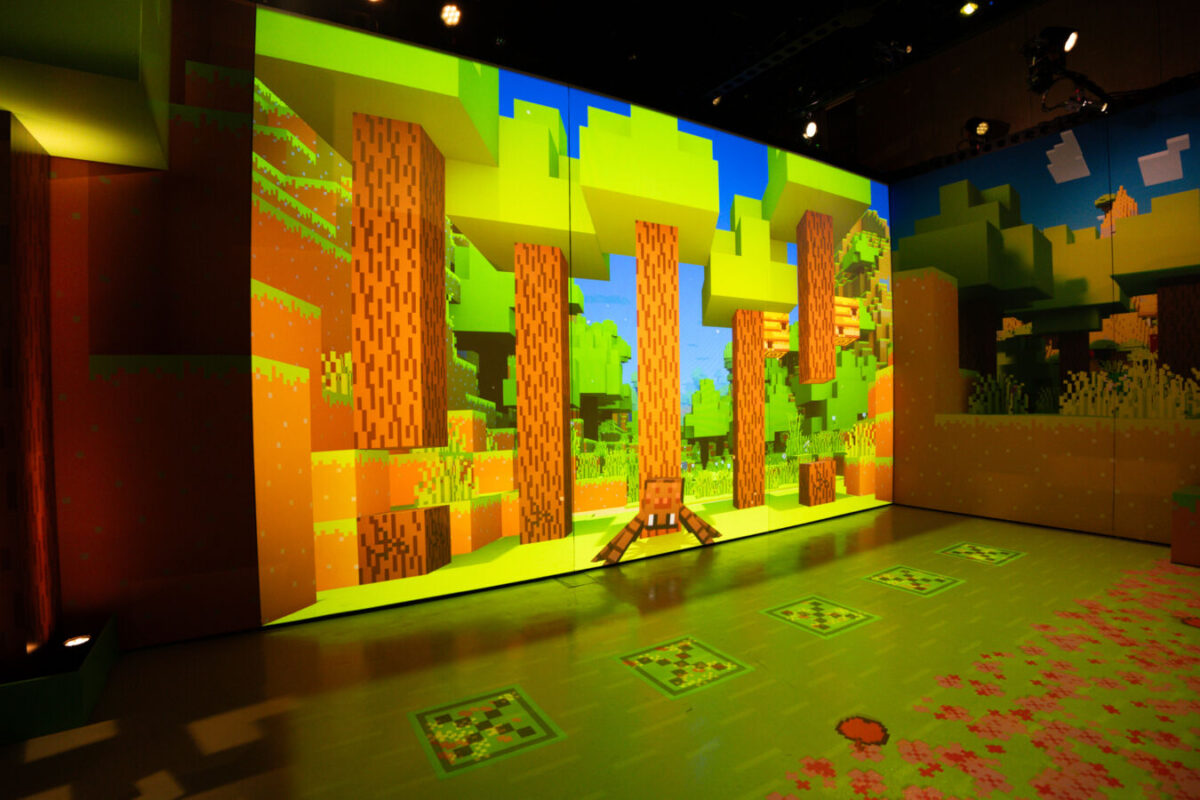 Minecraft Experience: Villager Rescue Singapore (4)