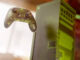 xbox anniversary edition console controller