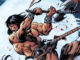conan the barbarian