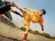 kung fu soccer