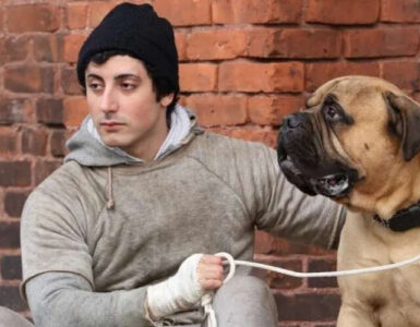i play rocky