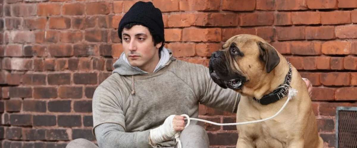 i play rocky