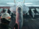 ace combat 8